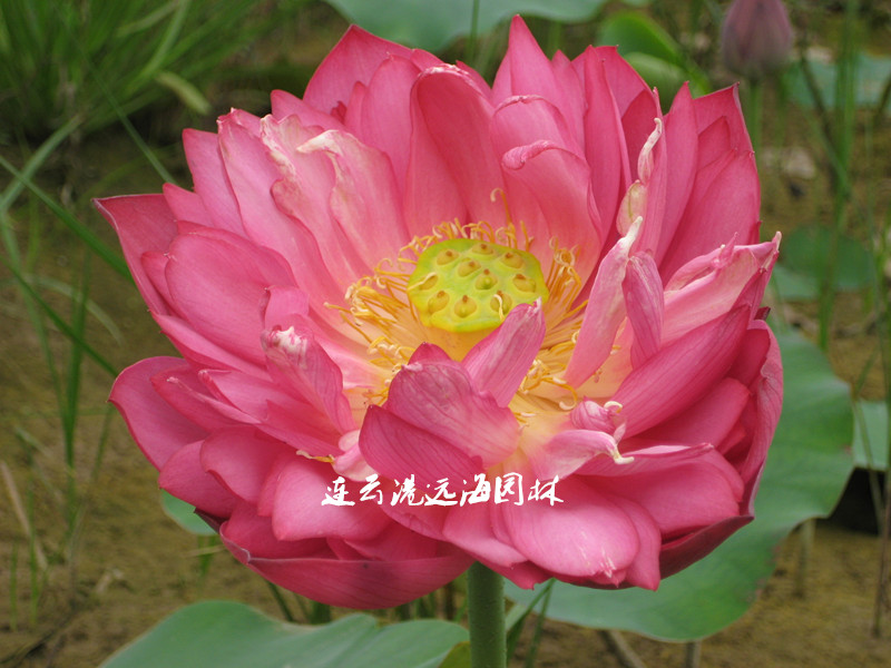 祝福