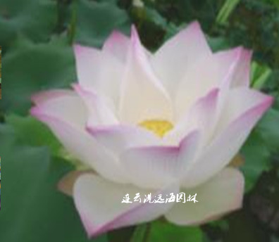 建選17